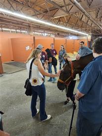 WRF 2025 Meadowlands--9